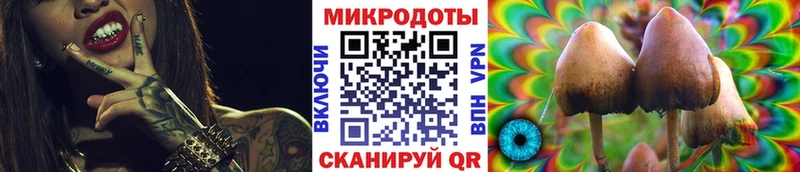 Псилоцибиновые грибы Psilocybe  Малоярославец 